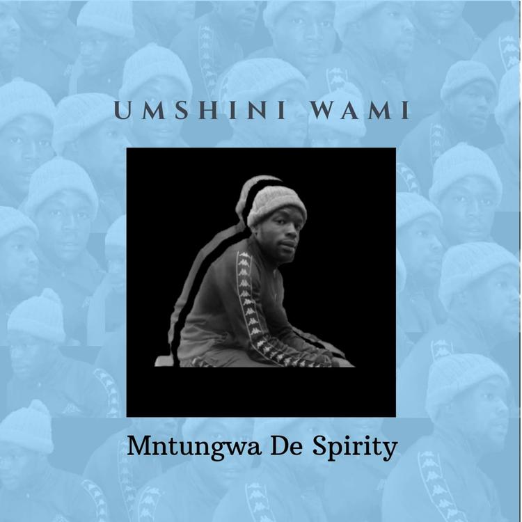 Mntungwa De Spirity's avatar image