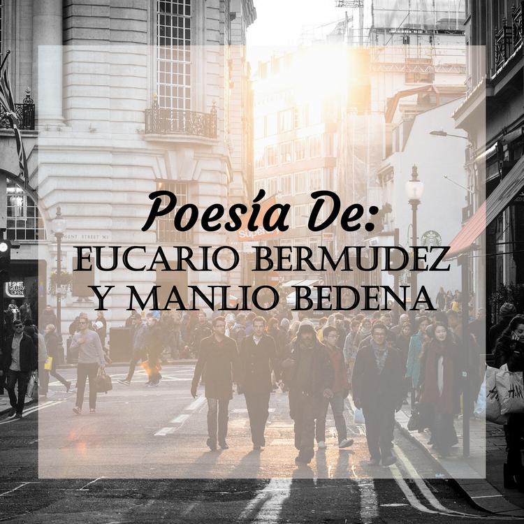 Eucario Bermudez Y Manlio Bedena's avatar image