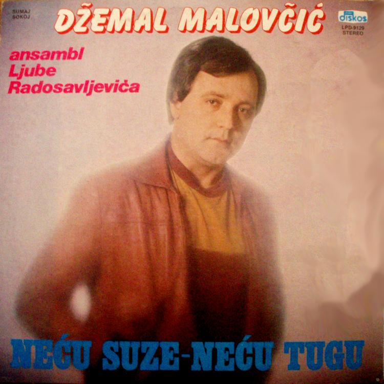 Dzemal Malovcic's avatar image