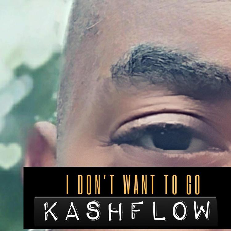 Kashflow's avatar image