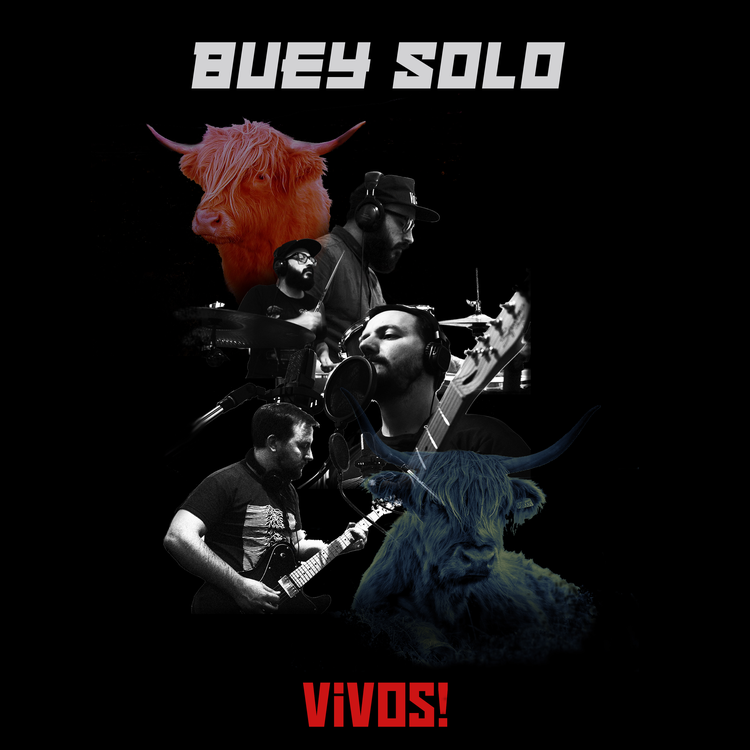 Buey Solo's avatar image