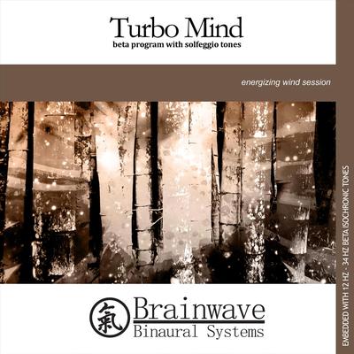 Turbo Mind: Beta Program With Solfeggio Tones By Brainwave Binaural Systems's cover