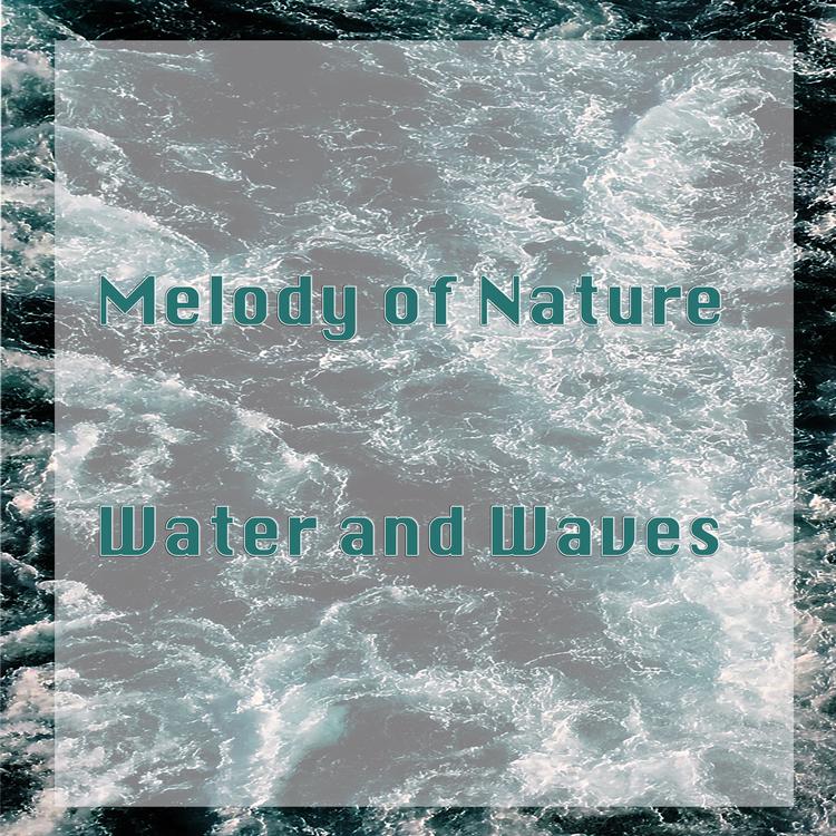 Melody of Nature's avatar image