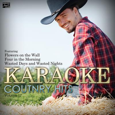 Karaoke Country Hits Vol. 17's cover