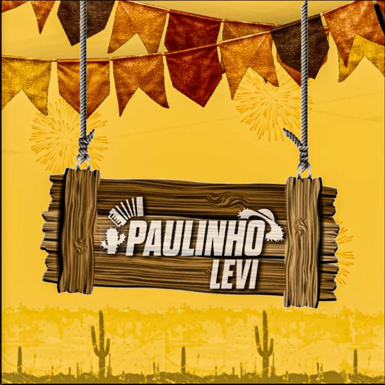 Paulinho Levi's avatar image