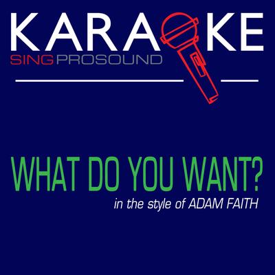 What Do You Want (Karaoke Instrumental Version) [In the Style of Adam Faith]'s cover