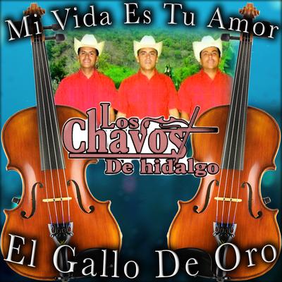 Los Chavos De Hidalgo's cover