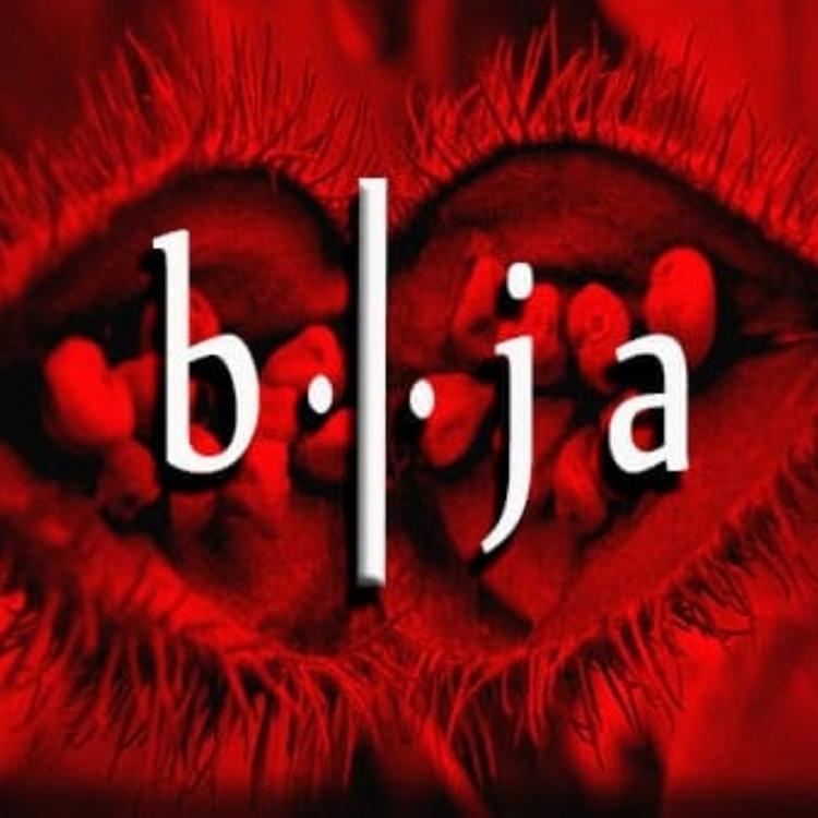 Bija's avatar image