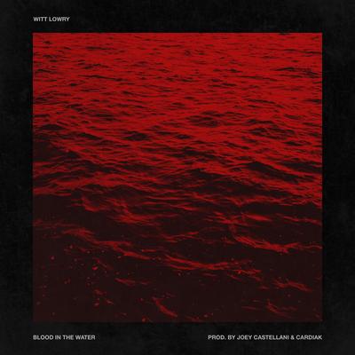 Blood in the Water By Witt Lowry's cover