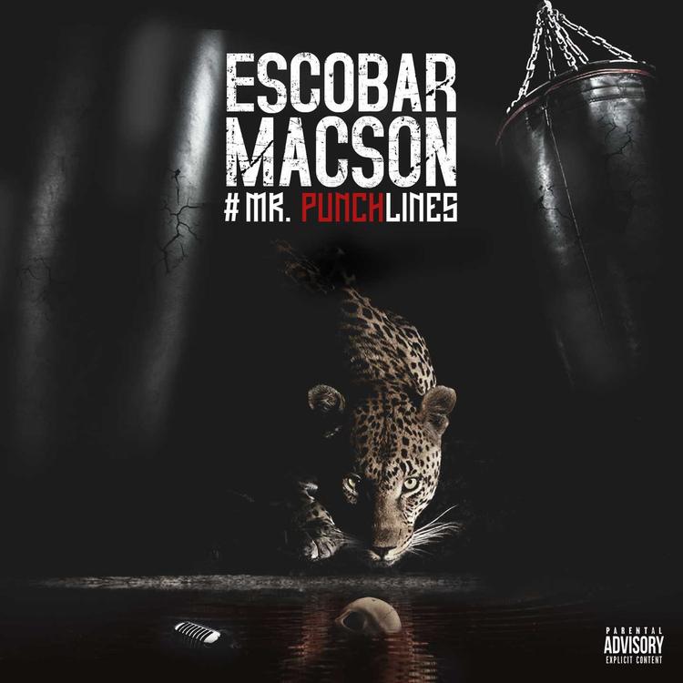 Escobar Macson's avatar image