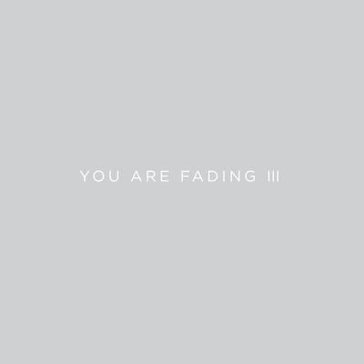 You Are Fading, Vol. 3 (Bonus Tracks 2005 - 2010)'s cover