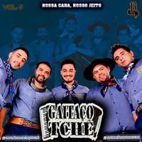 Gaitaço tche's avatar cover