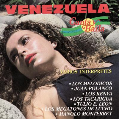Al Compas de la Cumbia By Los Melodicos's cover