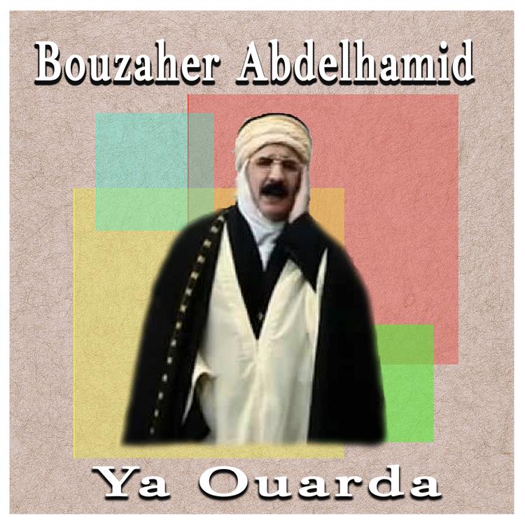 Bouzaher Abdelhamid's avatar image