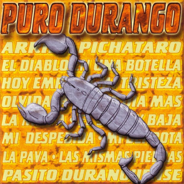 Puro Durango's avatar image