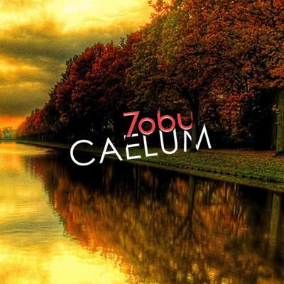 Caelum By Tobu's cover