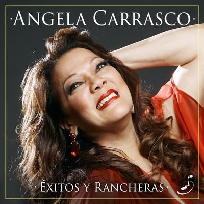Éxitos y Rancheras's cover