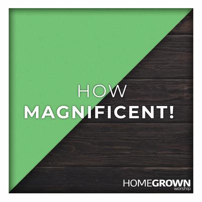 How Magnificent! By Homegrown Worship's cover