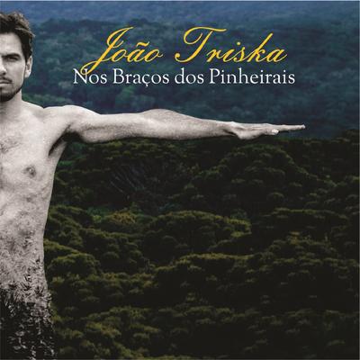 Nos Braços Dos Pinheirais By João Triska's cover