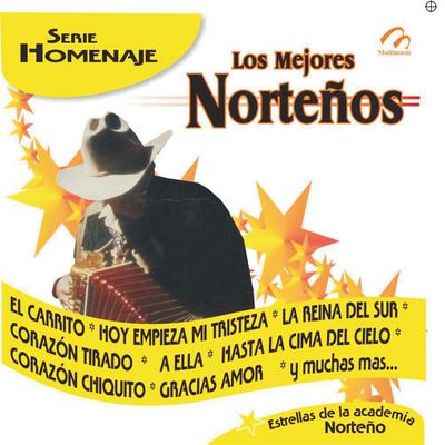 Los Mejores Norteños - Serie Homenaje's cover