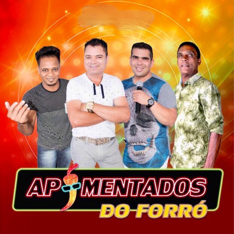 Apimentados do forró's avatar image