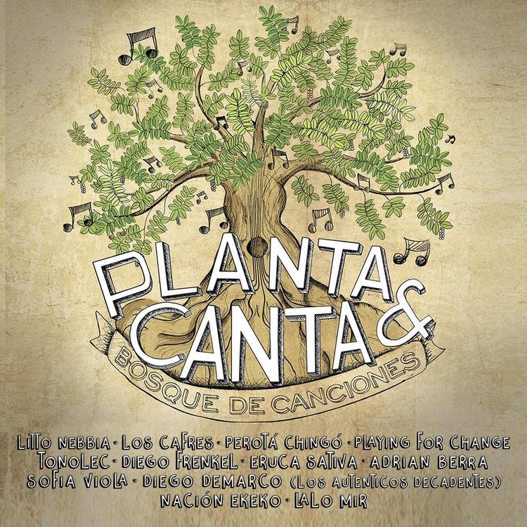 Planta & Canta's avatar image