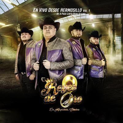 Corrido del Mencho (Cuadra 3amigos) [En Vivo]'s cover