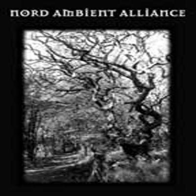 Nord Ambient Alliance's cover