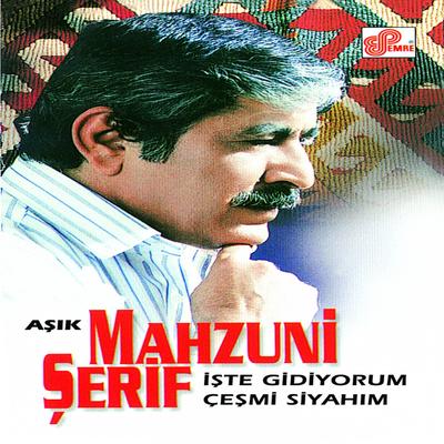 İşte Gidiyorum Çeşmi Siyahım's cover