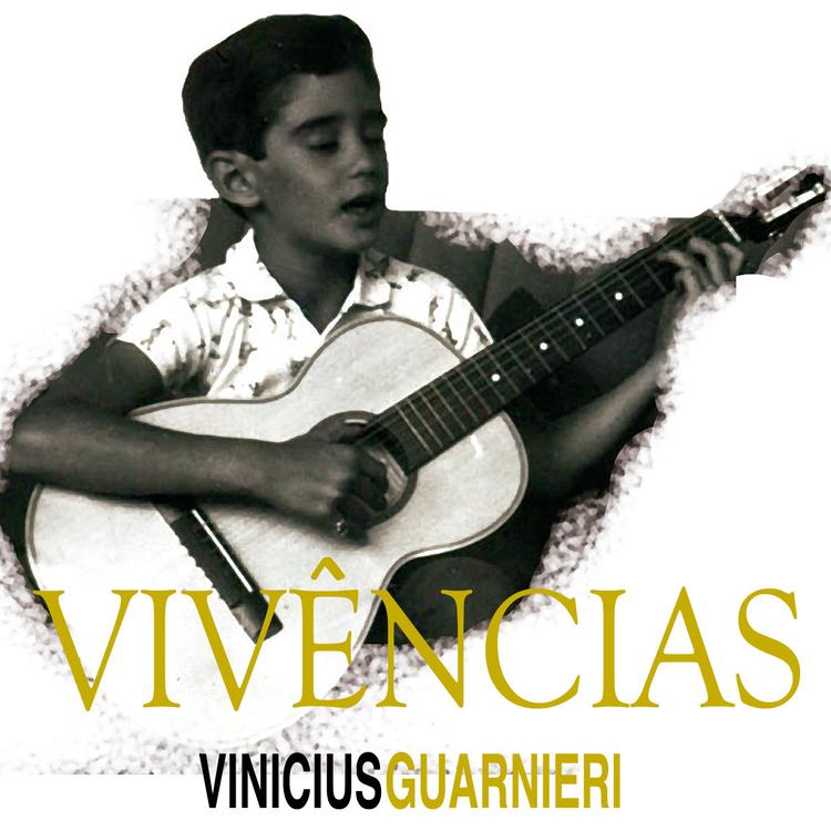 Vinícius Guarnieri's avatar image