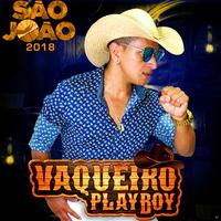 Vaqueiro Playboy's avatar cover