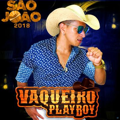 Vaqueiro Playboy's cover