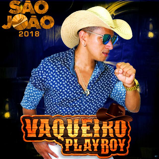 Vaqueiro Playboy's avatar image