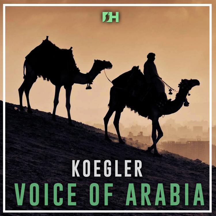 Koegler's avatar image