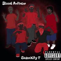 SkamXity T's avatar cover