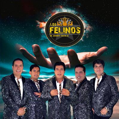 Los Felinos de Johnny Zavala's cover