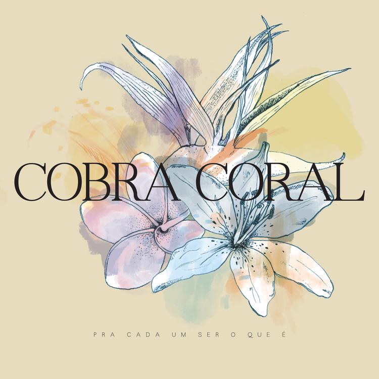 Quarteto Cobra Coral's avatar image