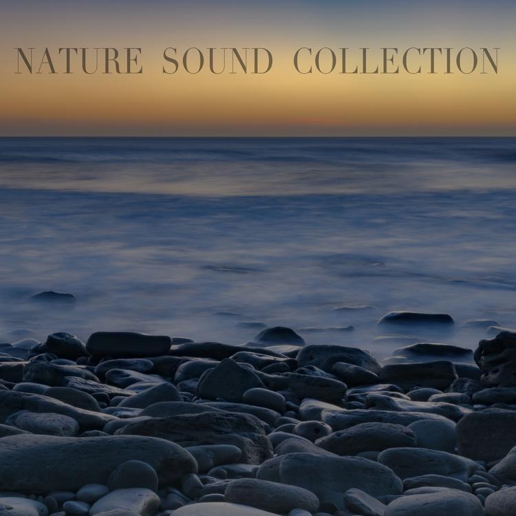 Nature Sound Collection's avatar image