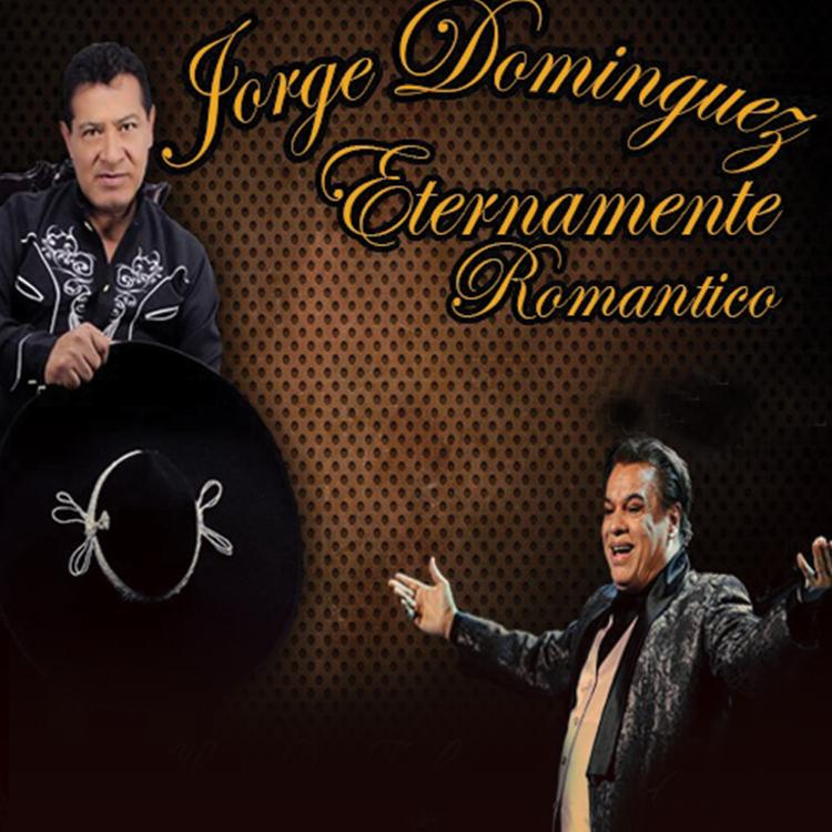 Jorge Domínguez's avatar image