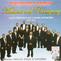 Orquesta De Cámara Municipal's avatar cover