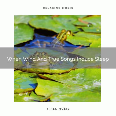 When Wind And True Whispers Help Babies To Sleep's cover