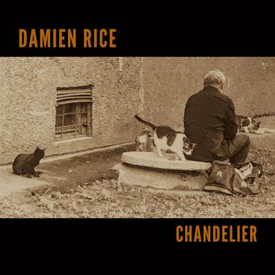 Chandelier By Damien Rice's cover