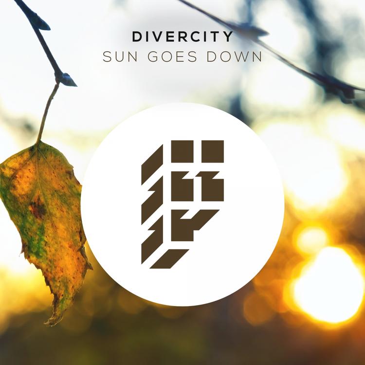 Divercity's avatar image