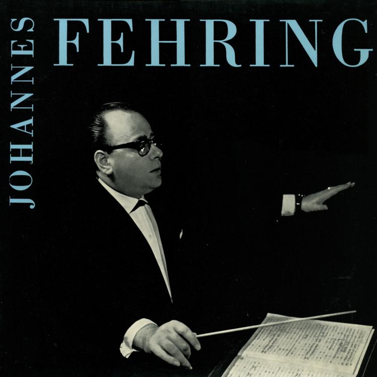 Johannes Fehring's avatar image