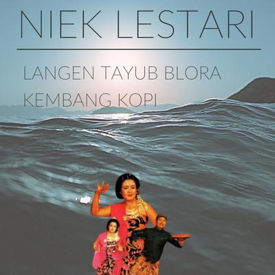 Niek Lestari's cover