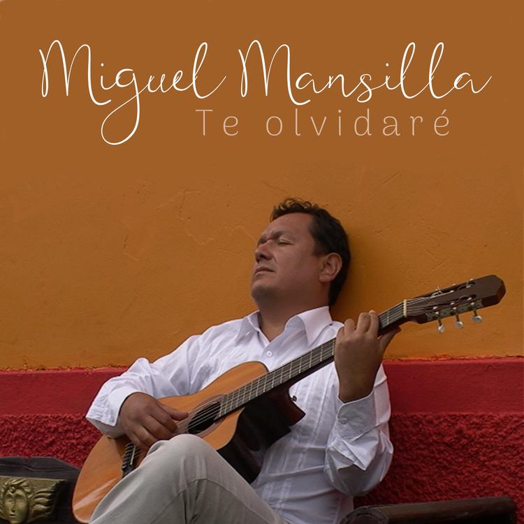 Miguel Mansilla's avatar image