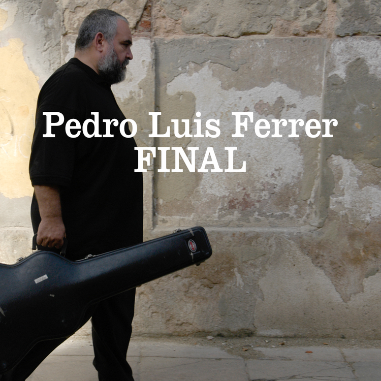 Pedro Luis Ferrer's avatar image