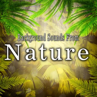 Background Sounds from Nature's cover