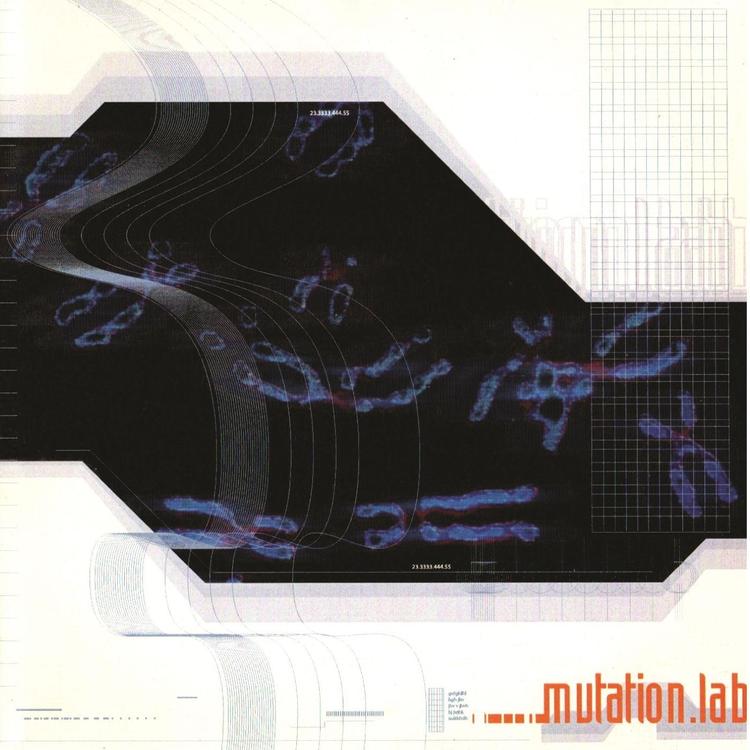 Mutation Lab's avatar image