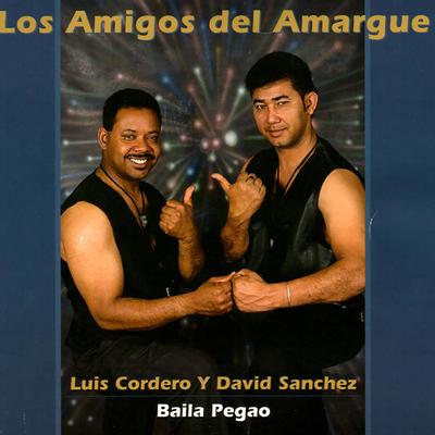 Los Amigos del Amargue's cover